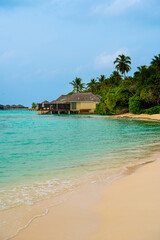 Tranquil closeup calm sea water waves with palm trees. Beautiful Panorama, Tropical island beach landscape exotic shore coast. Summer vacation, holiday amazing nature. Relax paradise, Maldives.
