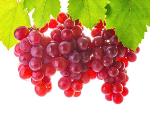 Fototapeta premium A close-up shot of juicy red grapes with green leaves against a black background