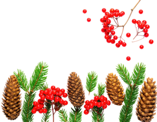 Festive arrangement pine cones, berries, and evergreen foliage, against a transparent background