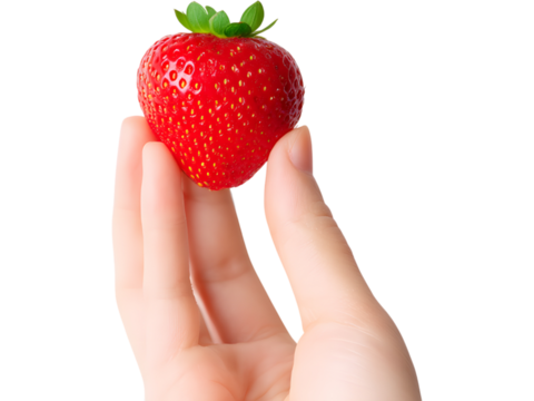 Human hand gently holding fresh strawberry isolated on transparent background, symbolizing freshness and natural sweetness.