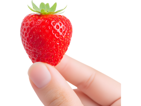 Human hand gently holding fresh strawberry isolated on transparent background, symbolizing freshness and natural sweetness. - Powered by Adobe
