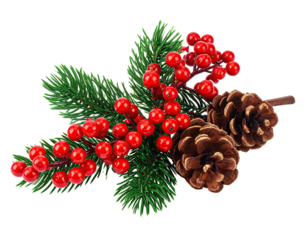 Festive botanical arrangement with lush green foliage, bright red berries, and textured pinecones