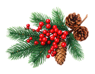 Festive sprig arrangement with evergreen needles, bright red berries, and textured pinecones