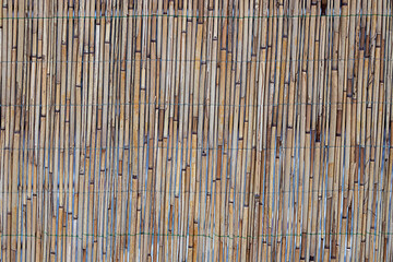 Vertical bamboo reed fence creates a rustic natural backdrop for outdoor spaces