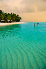 Naklejka premium Tranquil closeup calm sea water waves with palm trees. Beautiful Panorama, Tropical island beach landscape exotic shore coast. Summer vacation, holiday amazing nature. Relax paradise, Maldives.