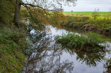Stream flowing through autumn forest landscape reflecting trees