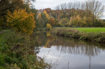 Autumn trees reflecting in calm water of borken, germany