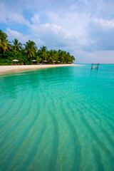 Tranquil closeup calm sea water waves with palm trees. Beautiful Panorama, Tropical island beach landscape exotic shore coast. Summer vacation, holiday amazing nature. Relax paradise, Maldives.