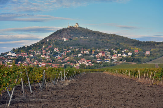 Houses on the hillside of Vr&scaron;ac, with the castle on top, through the vineyards