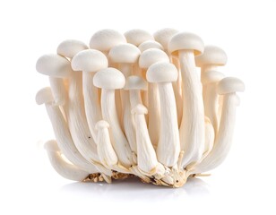Cluster of small, white mushrooms