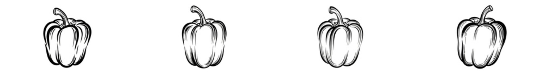 Engraved sweet pepper sketch Isolated on white