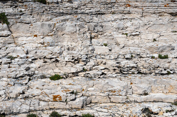 Surface of a Rock in Nature