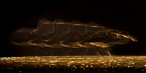 Long exposure Silhouette of Grey heron hunting at night