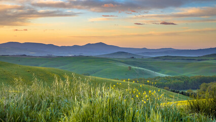 Vivid landscape Tuscany