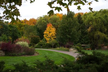 Autumn park scene with winding path and colorful trees