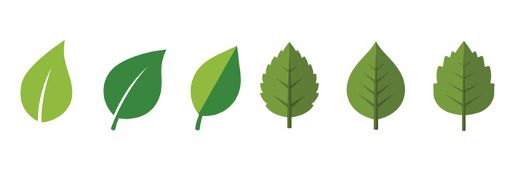 Fototapeta premium Set of six green leaves, showcasing various shapes and textures, perfect for naturethemed designs and botanical illustrations on transparent background