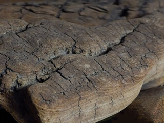Gnarled Weathered Wood Texture Close-Up