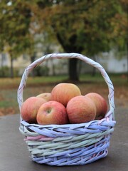 Autumn Harvest with Fresh Apples Healthy Food and Vitamins