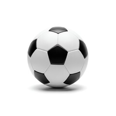 Fototapeta premium soccer ball isolated