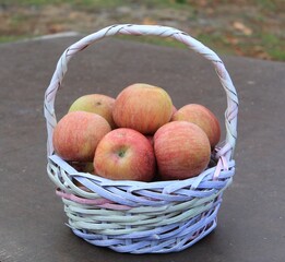 Fresh Ripe Apples in Basket Autumn Harvest, Healthy Nutrition and Vitamin-Rich Organic Food