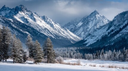 Snowy Mountain Landscape with Majestic Peaks, Evergreen Trees, and Frosty Meadow under Dramatic Cloudy Sky, Perfect for Winter Nature Photography