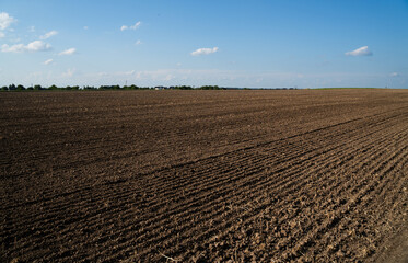 Freshly plowed brown soil field under clear blue sky in rural farmland landscape