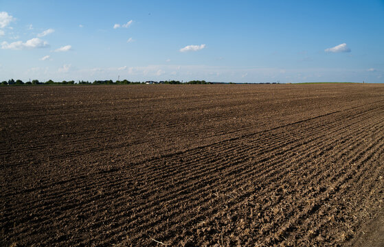Freshly plowed brown soil field under clear blue sky in rural farmland landscape