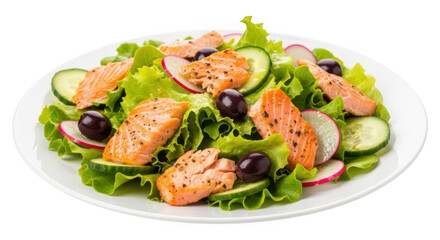 Healthy Salmon Salad Fresh Greens Cucumbers Radishes Olives