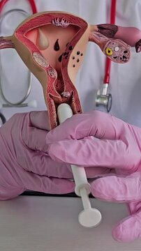 Treatment of inflammatory diseases of the pelvic organs and uterus. Uterine fibroids and suppositories from vaginitis