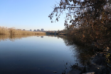 reflection in the water
