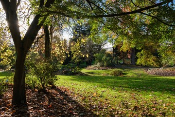 Couleurs d'automne et œuvre d'art au Jardin des Plantes de Nantes