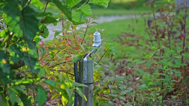 Rain Sensor Installed in Garden as Part of Automated Lawn Watering System