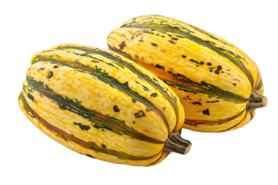 Two striped gourds, oval-shaped, yellow and dark green, close-up