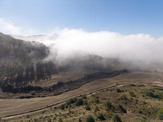 Foggy morning in the Aranguren Valley, Navarre
