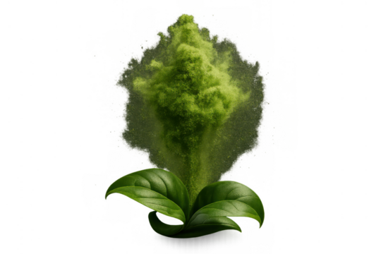Matcha green tea powder exploding from fresh leaves, creating a vibrant burst of natural flavor and healthy ingredients