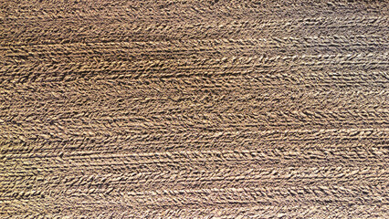 Aerial view of freshly plowed fields, showcasing furrows and soil patterns. The image captures the agricultural landscape in earthy tones, symbolizing preparation for planting.