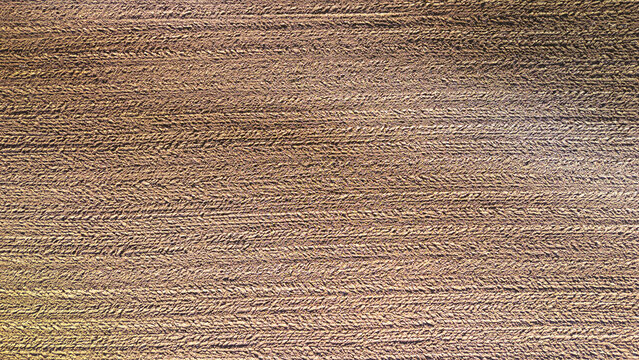 Close-up view of textured earth surface with distinct patterns created by farming equipment, showcasing the rich brown soil in an agricultural field.