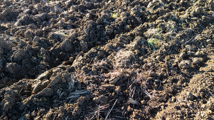 Close-up view of freshly plowed soil in an agricultural field, showcasing rich brown earth and small green sprouts. Ideal for themes of farming, nature, and growth.