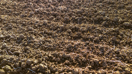 Close-up view of freshly plowed soil with clumps of earth and small straw remnants. Ideal for agricultural themes, environmental topics or farming applications.