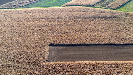 Aerial view of a golden wheat field and green patch during harvest season, showcasing the agricultural landscape and patterns created by farming activities.