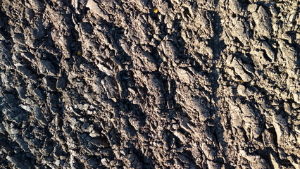Close-up view of textured soil surface, showcasing natural patterns and colors. Ideal for agriculture, gardening, or environmental themes in various projects.