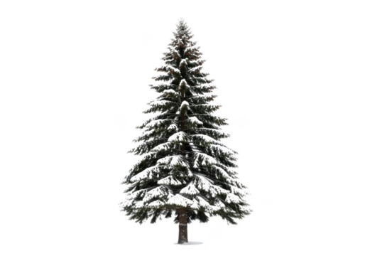 A snowcovered christmas tree isolated on a transparent background