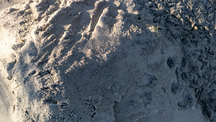 A close-up view of a sandy surface showcasing textures and patterns created by wind and natural elements, highlighting the beauty of the natural environment.
