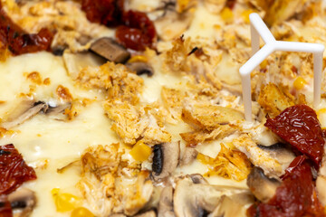 Close-up of delicious pizza topped with sun-dried tomatoes, chicken, mushrooms, and melted cheese, served at a restaurant or pizzeria, ready for enjoyment.