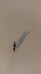 Horse Galloping In Nature Forest And Sand Dunes Scenic Island Landscape Equestrian Animal Wild Running Freedom Outdoor Adventure Travel Natural Beauty Wildlife