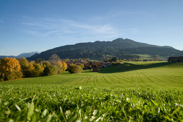 Fototapeta premium Golden autumn trees in Indian summer colors at sunset in Nesselwang, East Allgäu Alps. Soft evening light on German Alps during sunny fall day in Bavaria. Goldener Herbst Bayern.