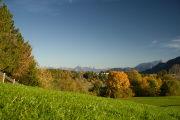 Naklejka premium Golden autumn trees in Indian summer colors at sunset in Nesselwang, East Allgäu Alps. Soft evening light on German Alps during sunny fall day in Bavaria. Goldener Herbst Bayern.