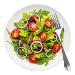 Fresh Garden Salad with Red Onion and Tomato Slices Top View