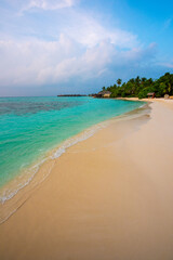 Tranquil closeup calm sea water waves with palm trees. Beautiful Panorama, Tropical island beach landscape exotic shore coast. Summer vacation, holiday amazing nature. Relax paradise, Maldives.