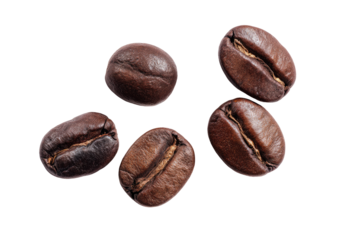Close-up of roasted coffee beans (6)